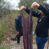 Amigas mortas: materiais que podem esclarecer crime são encontrados - Imagem