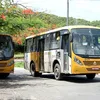 Ônibus ‘amarelinhos’ de Salvador vão ganhar novo modelo com ar-condicionado - Imagem