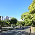5 lugares de graça para você levar as crianças em Salvador além das praias imagem
