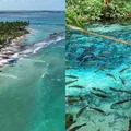 5 paraísos brasileiros imperdíveis para curtir as férias de janeiro imagem