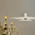 Aeroporto guarda pernas humanas congeladas há 1 ano após impasse imagem