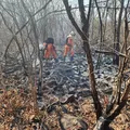 Alerta de perigo: 20 cidades baianas estão sob risco de incêndios imagem