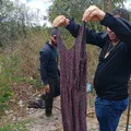 Amigas mortas: materiais que podem esclarecer crime são encontrados imagem