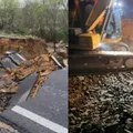 BR-116 é reaberta na Bahia após cratera gigante fechar rodovia imagem