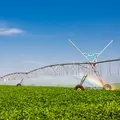 Bahia lidera avanço da irrigação sustentável e se destaca no agronegócio nacional imagem