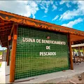 Bom Jesus dos Passos ganha usina de beneficiamento de Pescado imagem