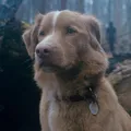Bom Menino e mais: veja o que está passando no cinema em Salvador imagem