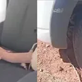 Carros com 4 anos de uso estão sucateados em Ibitiara imagem