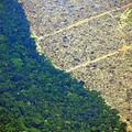 Congresso vai analisar vetos de Lula ao licenciamento ambiental imagem