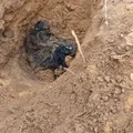 Corpo de homem é encontrado enterrado em cova rasa imagem