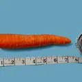 Entenda como harmonizar e aumentar pênis pode ser feito com segurança imagem