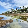 Essa praia perto de Salvador surpreende turistas com uma tradição única imagem
