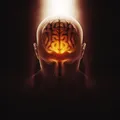 Estudo revela como “desligar” neurônios que controlam a ansiedade imagem