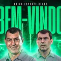 Fábio Carille assume clube da Série B após demissão de ex-Vitória imagem