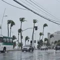 Feriado do Dia da Consciência Negra será de chuva na Bahia imagem