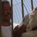 Hollywood errou feio: esses filmes racistas nunca deviam ter sido feitos imagem