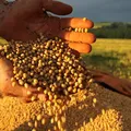 Josias Menezes avalia efeitos do “tarifaço” imagem