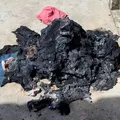 Mãe é presa por tentar matar a filha de 2 anos sufocada na Bahia imagem