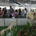 Mavi: ciência interativa espera bater recorde com 12 mil visitantes imagem