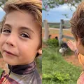 Menino de 6 anos resgata cães abandonados: “Nunca vou machucar vocês” imagem