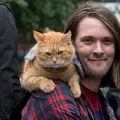 Músico muda de vida e ganha fama após achar gato no meio da rua imagem