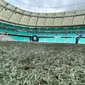 Natural x sintético: desculpa ou risco real para os atletas? imagem