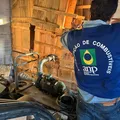 Operação na Bahia expõe elo entre PCC e fraudes em combustíveis imagem