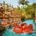 Parque brasileiro supera Disney e Universal e entra no TOP 10 mundial imagem