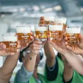 'Parque de diversões' para adultos promete cerveja de graça no Brasil imagem