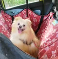 Pet no colo ou na janela é multa gravíssima; veja como viajar com segurança imagem