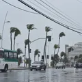 Praia no fim de semana? Tempo muda em Salvador após fortes chuvas imagem