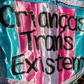Salvador pode proibir exposição de conteúdos sobre crianças trans imagem
