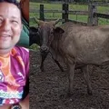 Secretário de prefeitura de cidade baiana é acusado de furtar vaca imagem
