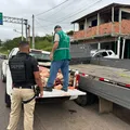 Sem churras? Polícia desmonta abate clandestino de carne irregular imagem