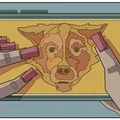 Seu cachorro dorme na sua cama? Você não está sozinho(a) imagem