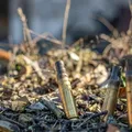 Tiroteios caem 39% em Salvador e RMS, mas violência policial persiste, diz instituto imagem