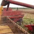 Trabalhador morre soterrado após cair em silo de soja na Bahia imagem