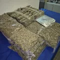 Três pessoas são presas com 31 kg de drogas no Aeroporto de Salvador imagem