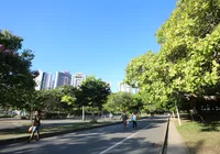 5 lugares de graça para você levar as crianças em Salvador além das praias imagem