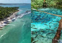 5 paraísos brasileiros imperdíveis para curtir as férias de janeiro