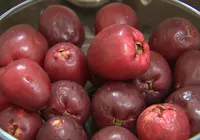 A fruta que ajuda a manter o coração forte e a pressão sob controle