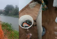 Água da chuva invade casas em Lauro de Freitas e desespera moradores
