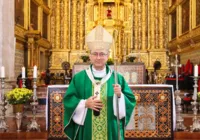 Arcebispo de Salvador é recebido em audiência pelo Papa Leão XIV