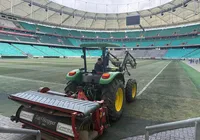 Arena Fonte Nova inicia troca completa do gramado após críticas imagem
