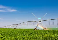 Bahia lidera avanço da irrigação sustentável e se destaca no agronegócio nacional