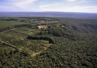 Bahia recebe R$ 55 milhões para restaurar 1,2 mil hectares de Mata Atlântica