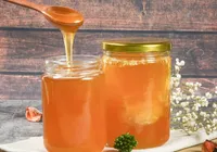 Bahia se destaca na apicultura com concurso de qualidade do mel