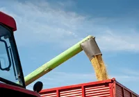Bahia tem sete cidades nas 50 maiores produtoras agrícolas do Brasil imagem