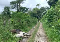 Burro morre após pisar em fio de alta tensão; dono escapa ileso