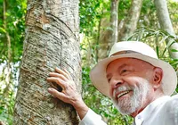 COP 30, a hora da verdade